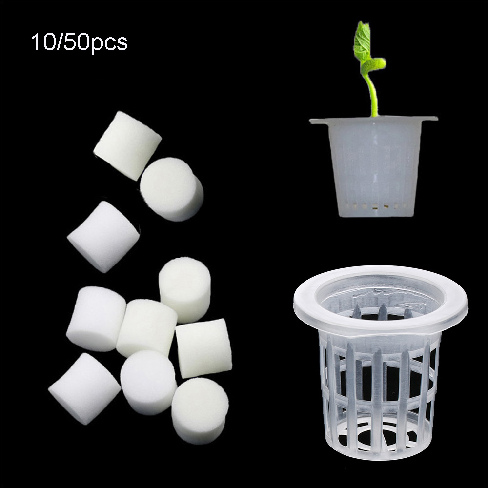 10/50pcs Durable Planting Aqua - Aquarium Planted Seeds review and price