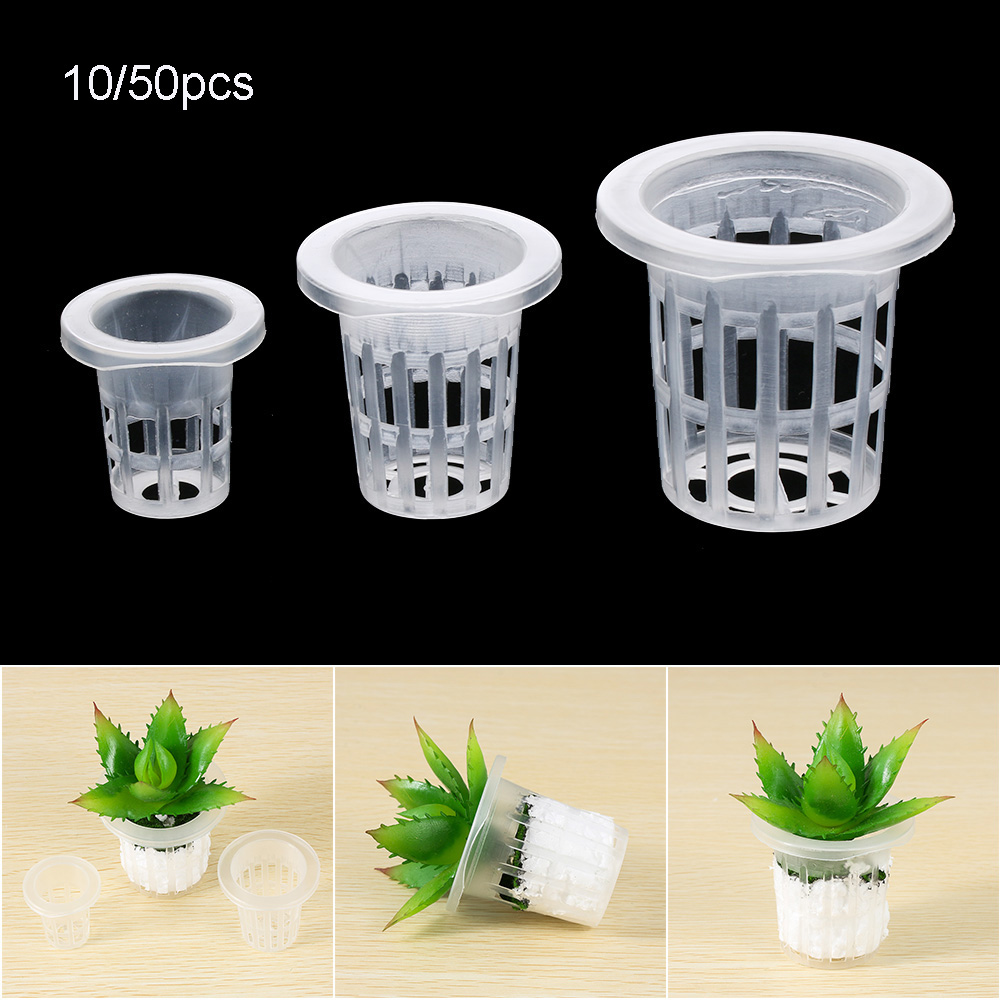 10/50pcs Durable Planting Aqua - Aquarium Planted Seeds review and price