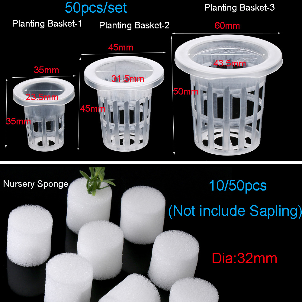 10/50pcs Durable Planting Aqua - Aquarium Planted Seeds review and price