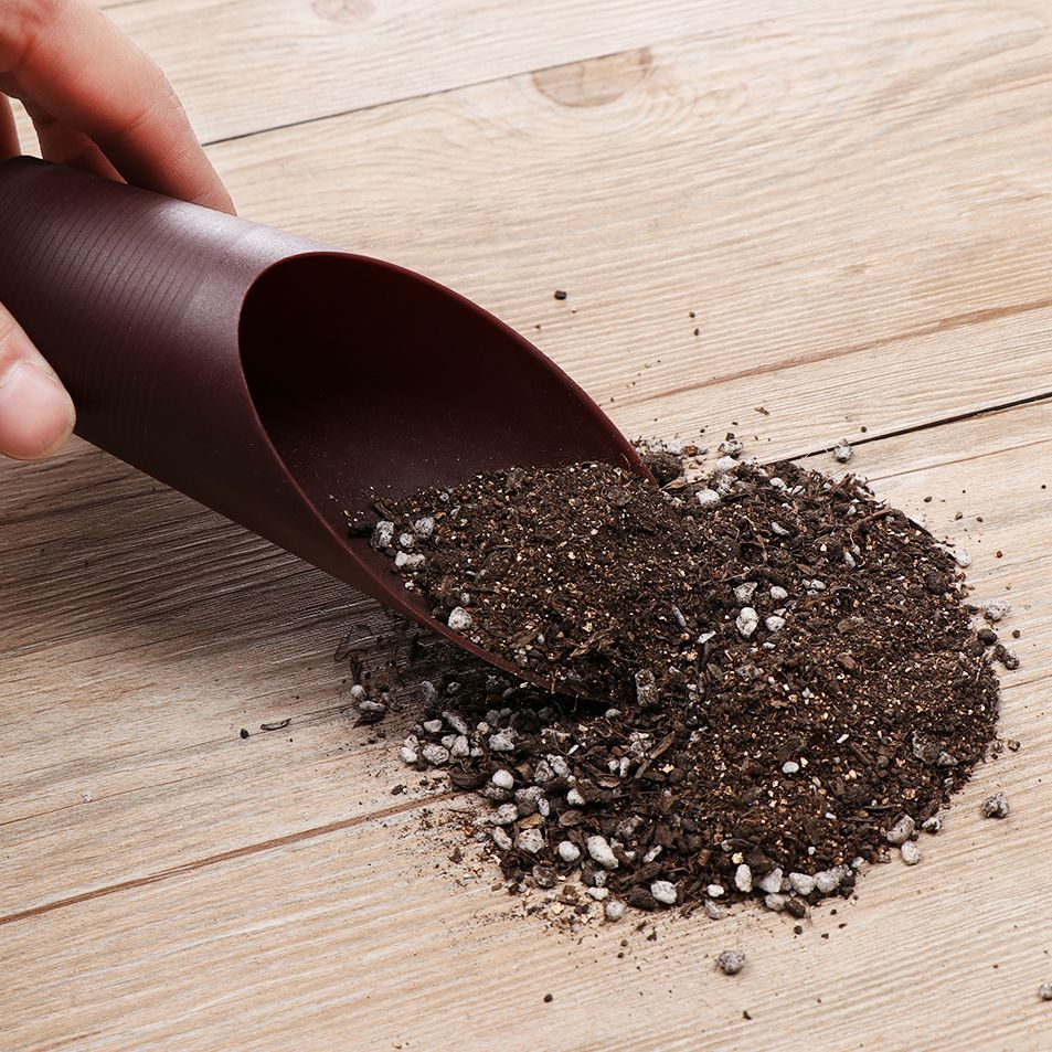 1PC Plastic Soil Shovel Cup Fo - Tissue Culture Plant review and price