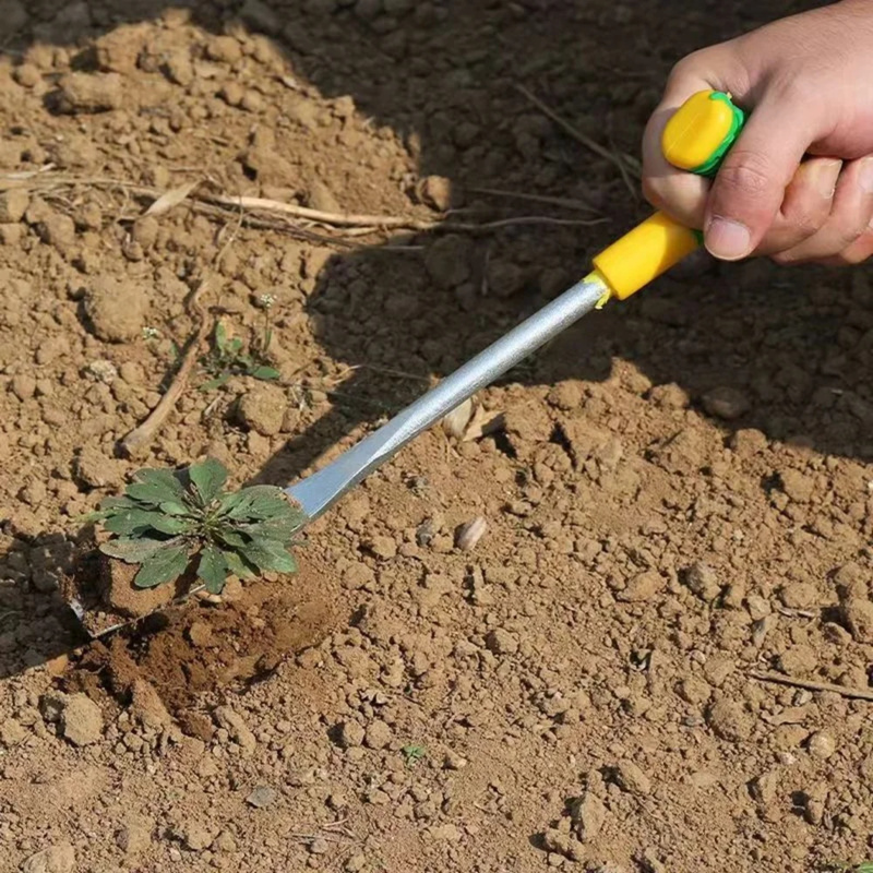 1pc T Shaped Spade Stainless S - Tissue Culture Plant review and price