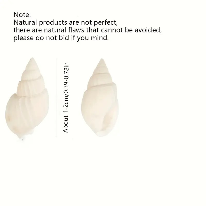 Natural White Mini Sea Shells  - Planted Aquarium Making review and price